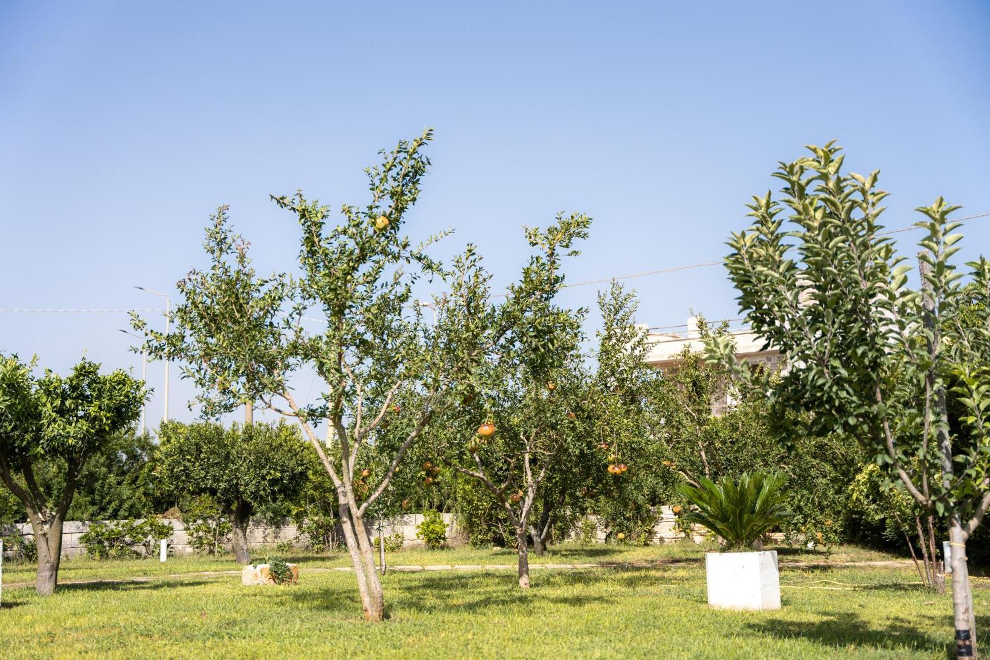 Murieri Rooms Οτράντο Εξωτερικό φωτογραφία